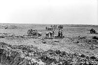 33e batterie de campagne de l'Armée canadienne en train de transporter des armes. Crête de Vimy, avril 1917.