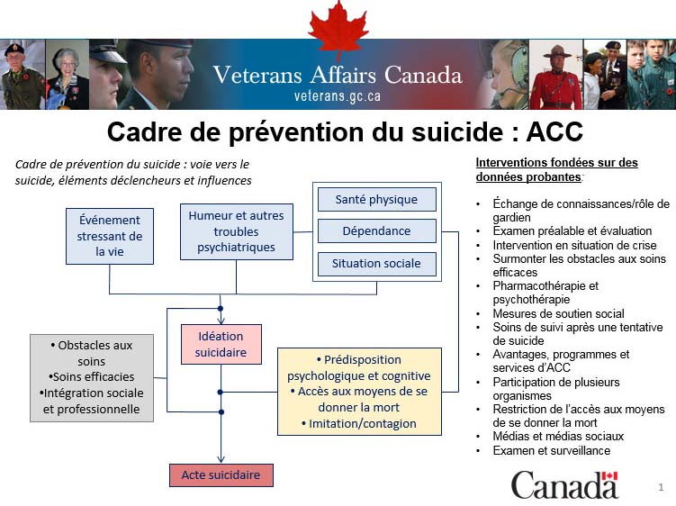 Cadre de prévention du suicide