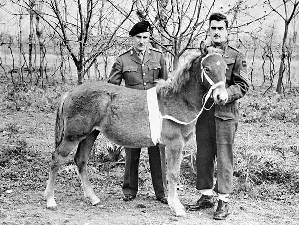 Princess Louise, le cheval mascotte, et deux soldats.