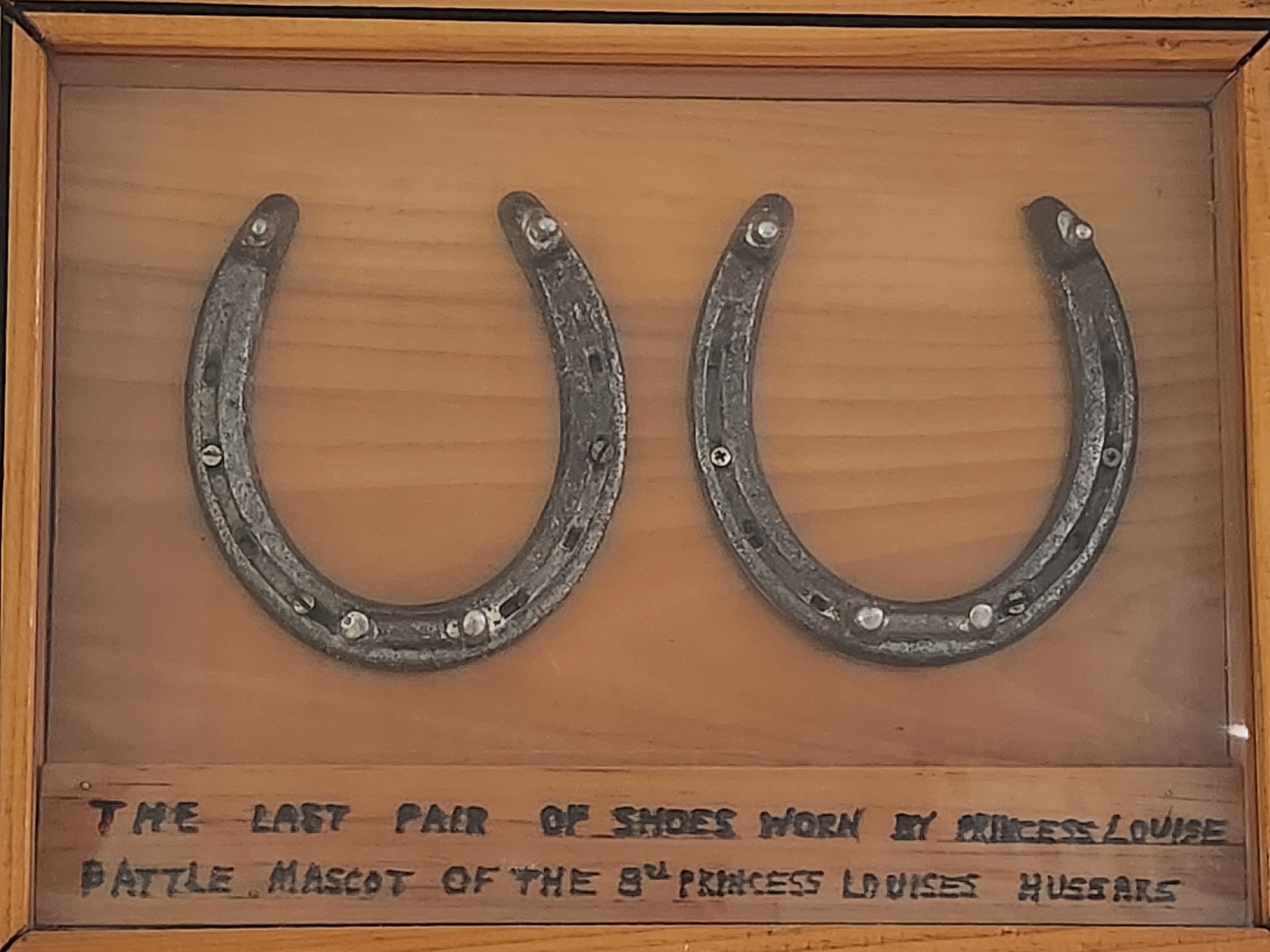 Princess Louise's last pair of horseshoes displayed at the legion.