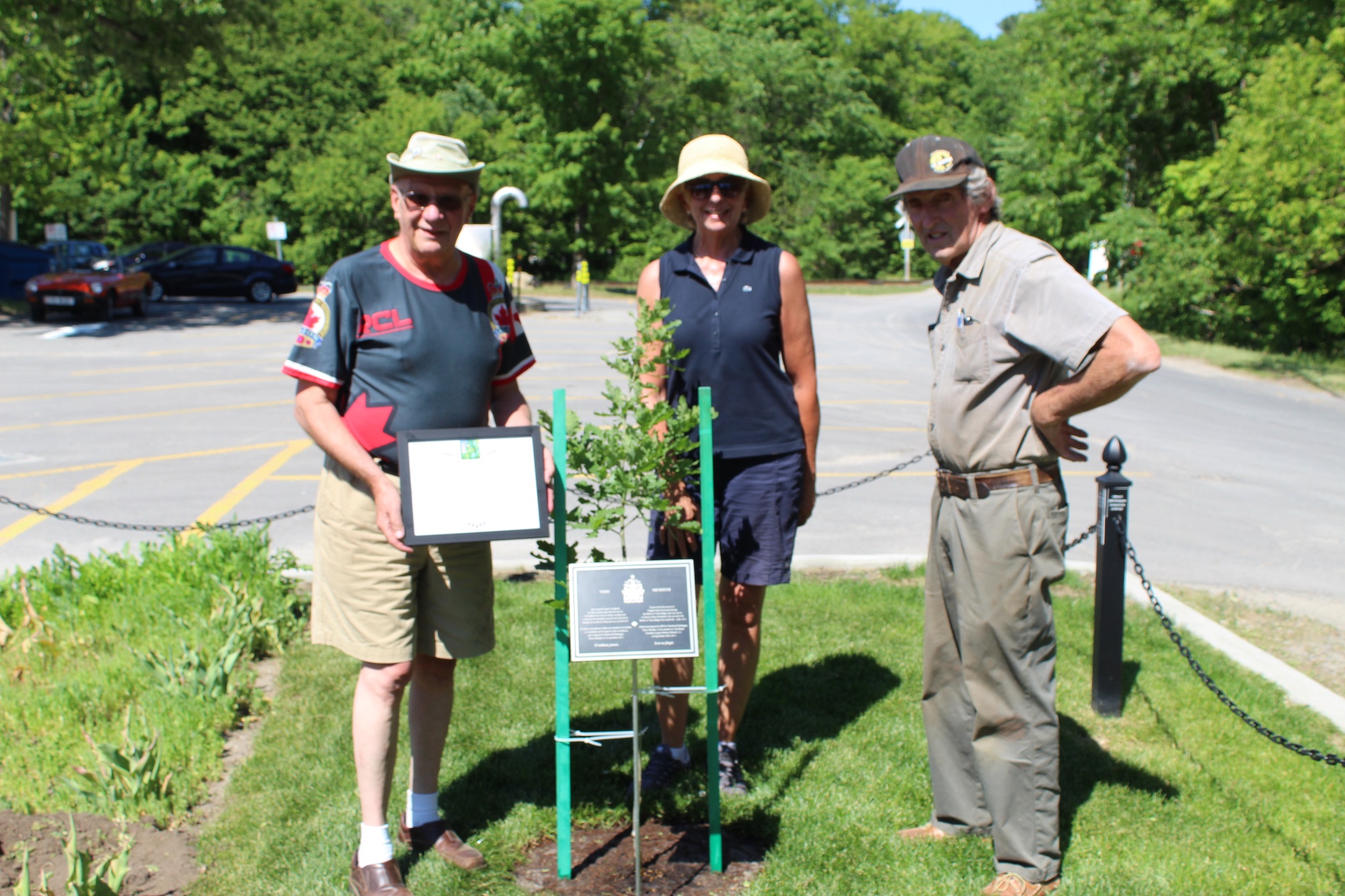 Planting second Vimy Oak, Rod Hodgson, Stephanie Thomas Morris and Mike Elliott.