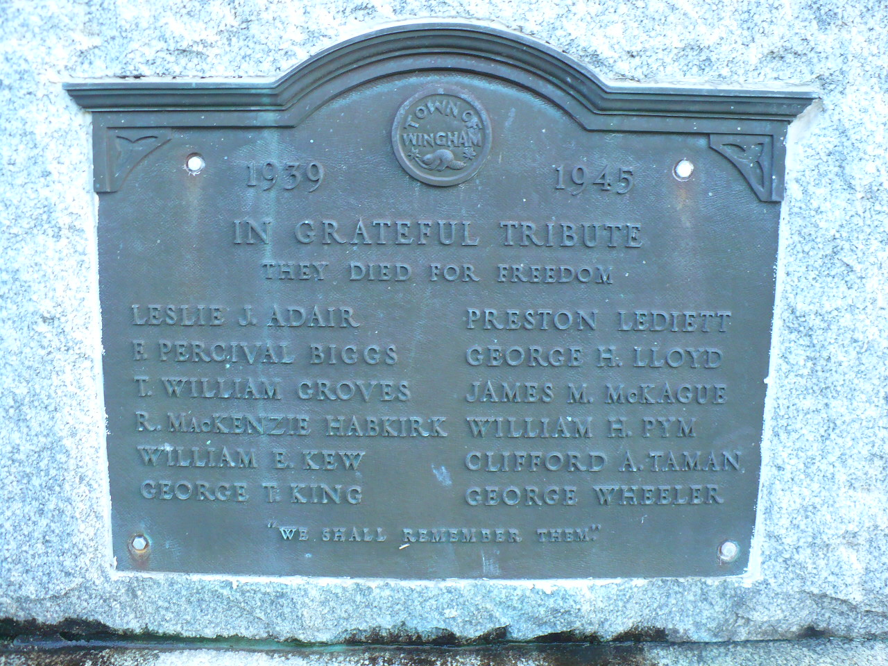 left side plaque