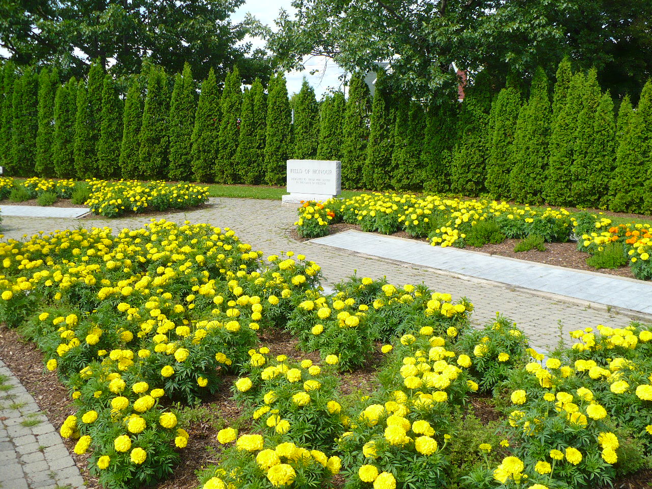 Field of Honour