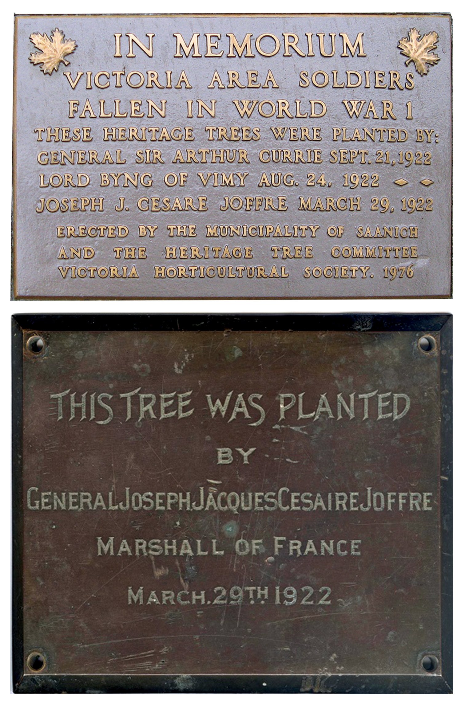 Memorial Tablet and Memorial tree plaque