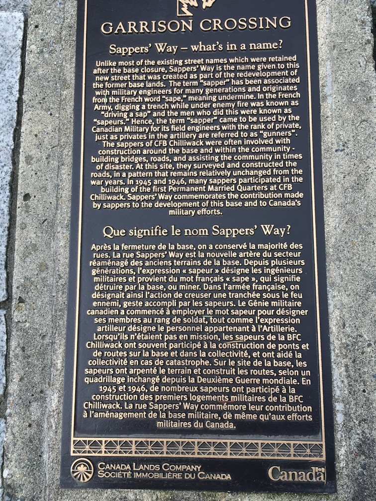 plaque