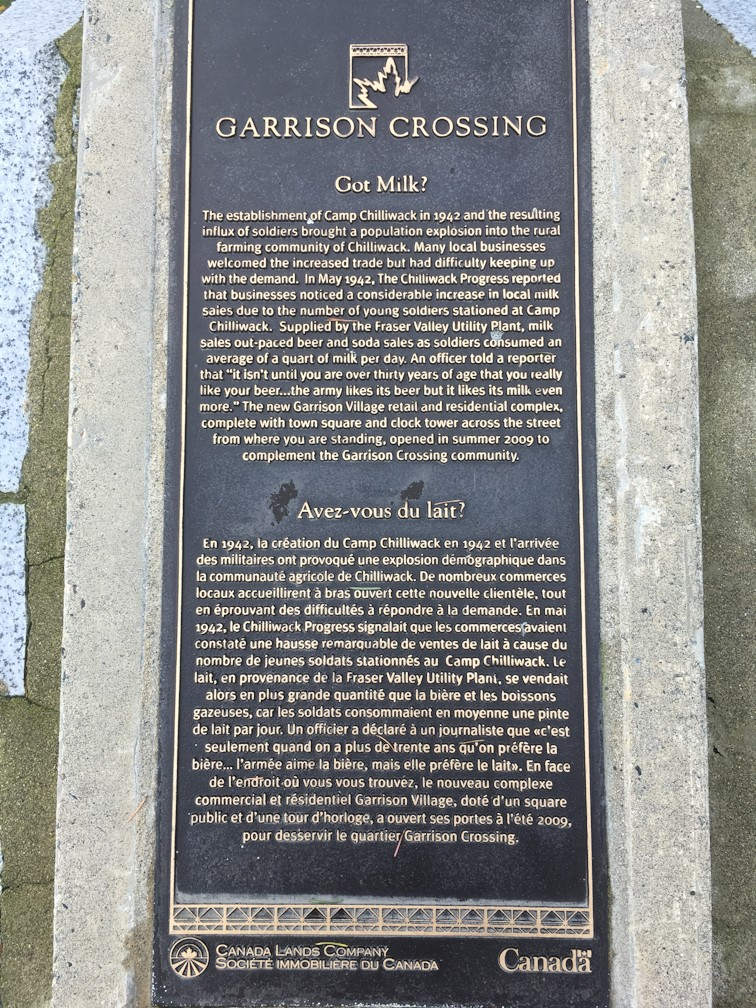 plaque