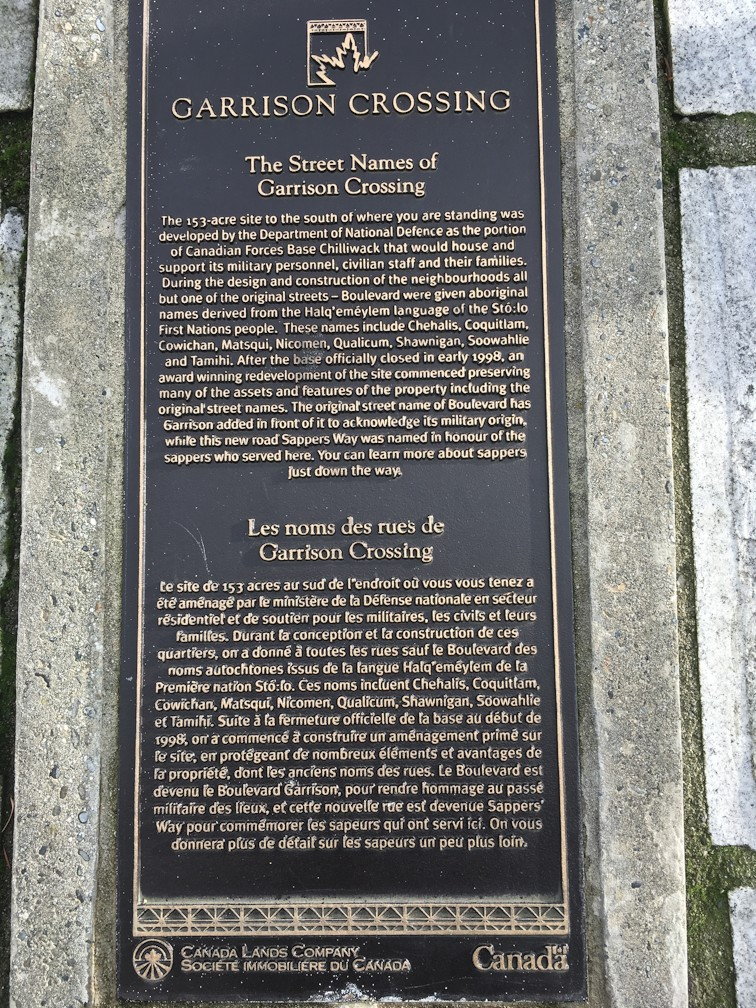 plaque