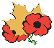 A red poppy and yellow maple leaves.