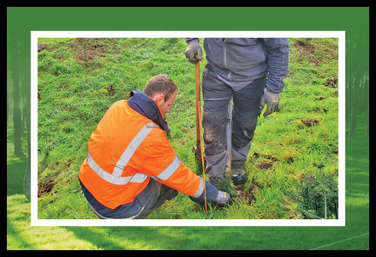 Two people planting a seedling on the grounds at Vimy