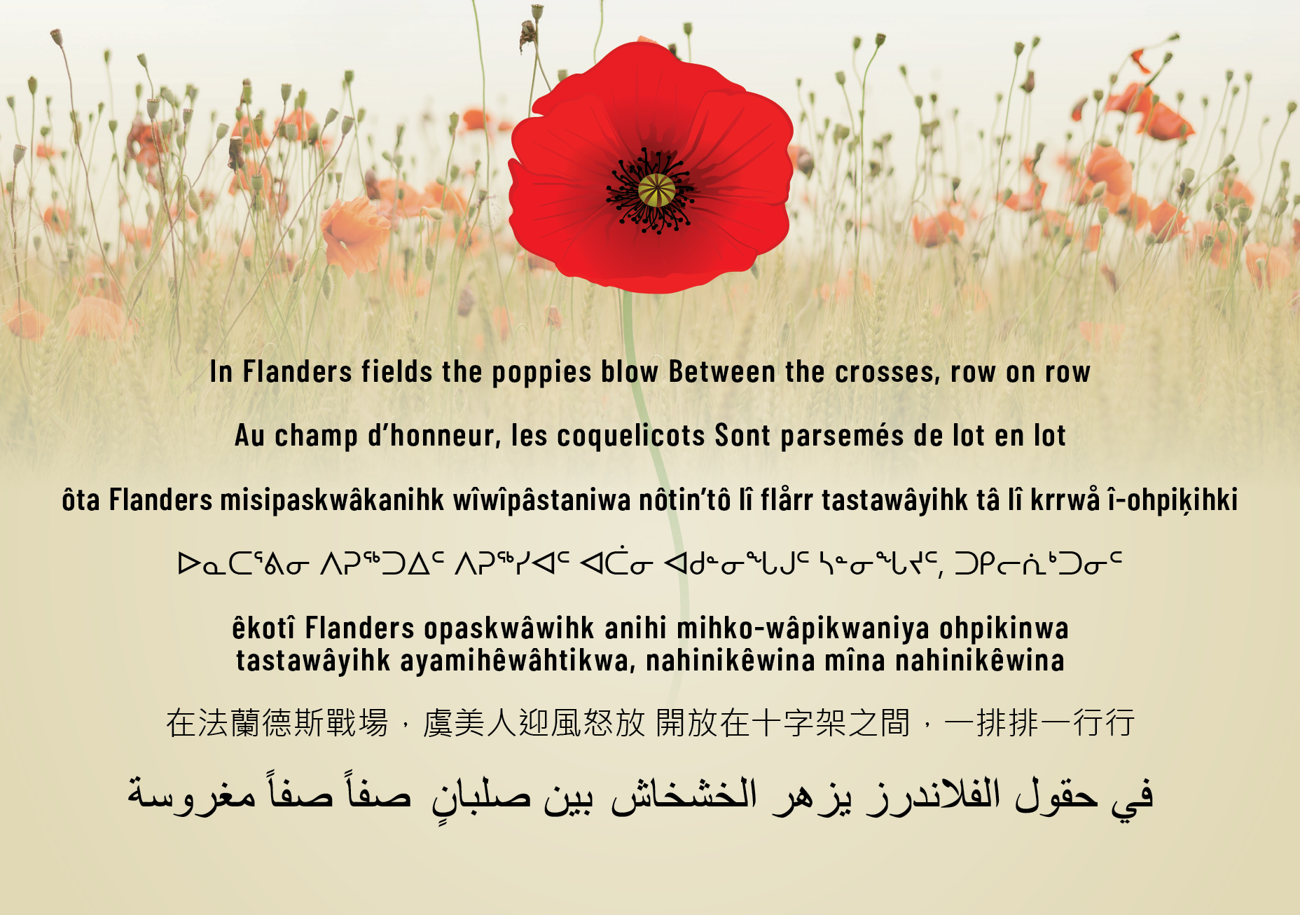 In Flanders Fields poem​