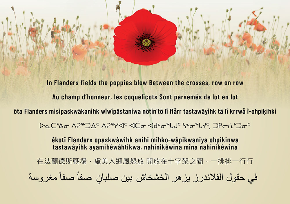 In Flanders Fields poem​