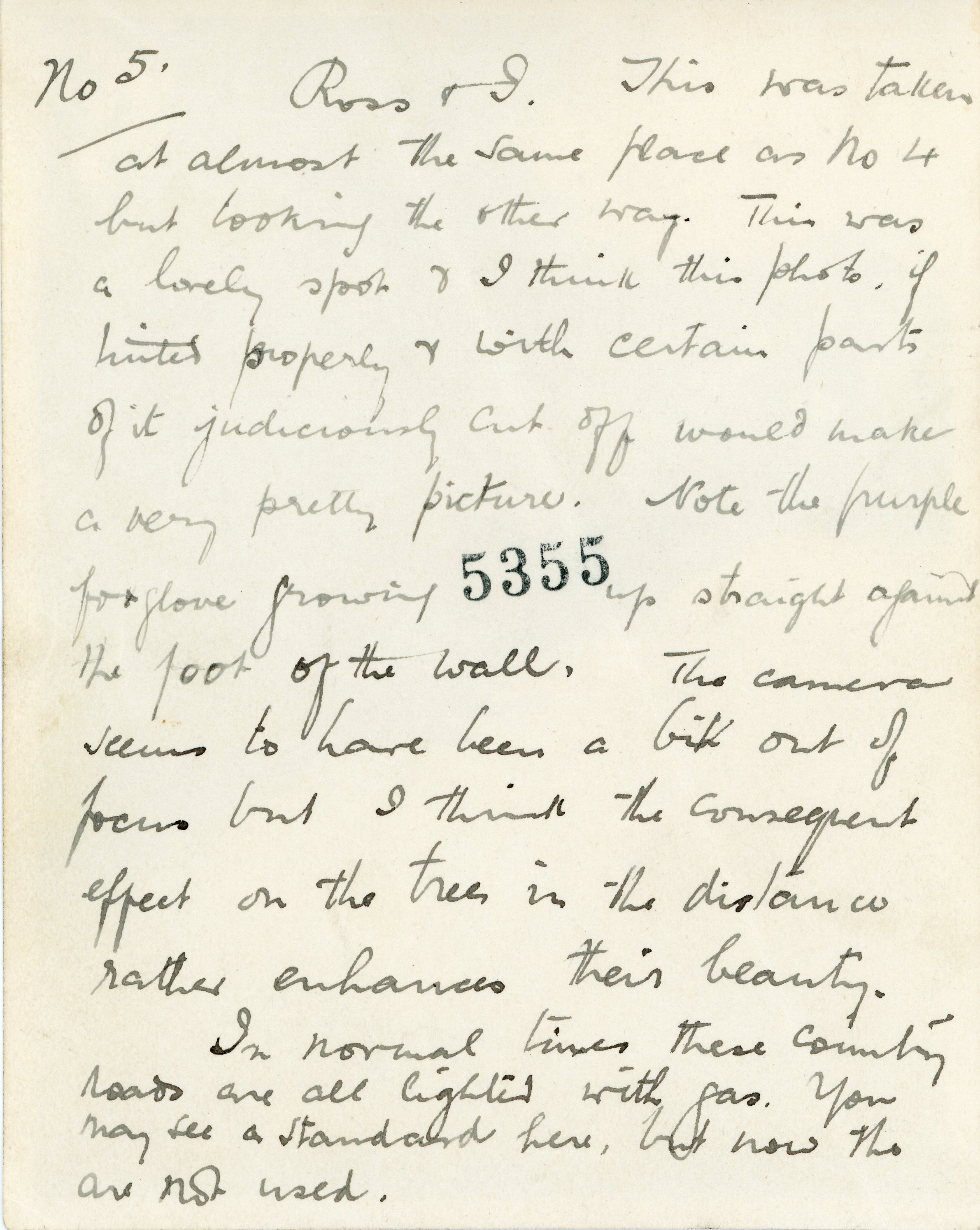 Reverse side of Photo