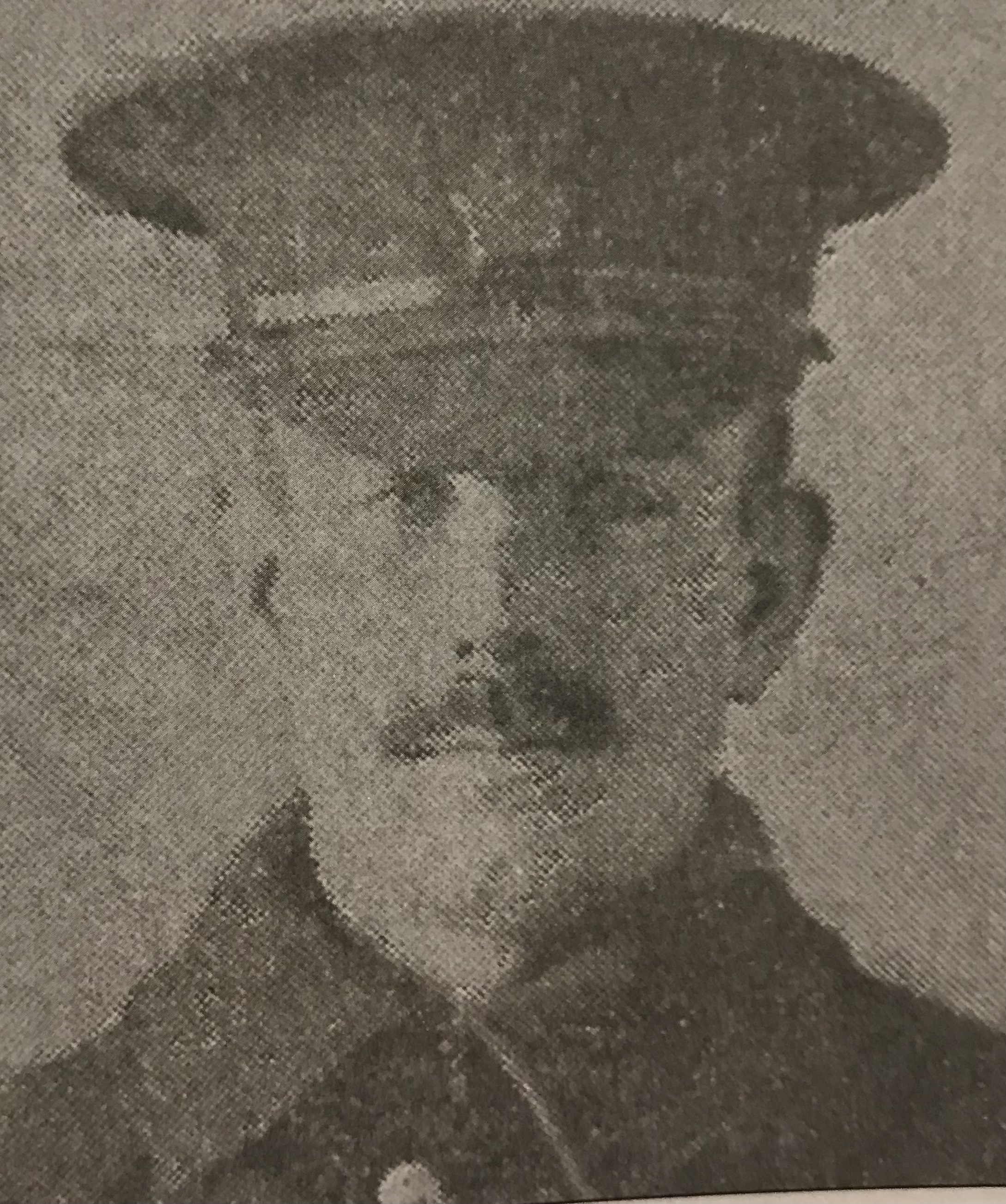 Photo of George Campbell Barter