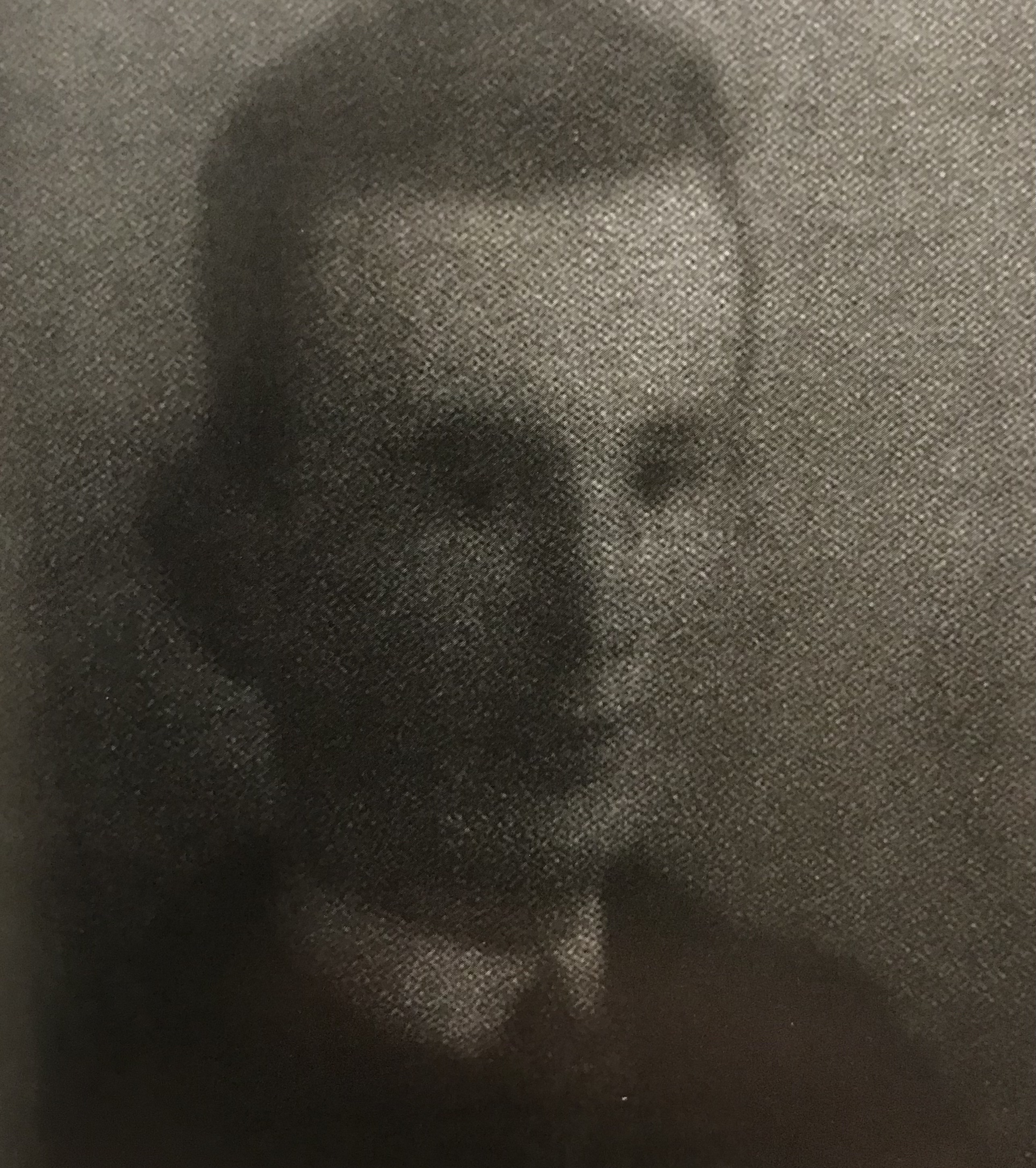 Photo of Chester Odell Johnson