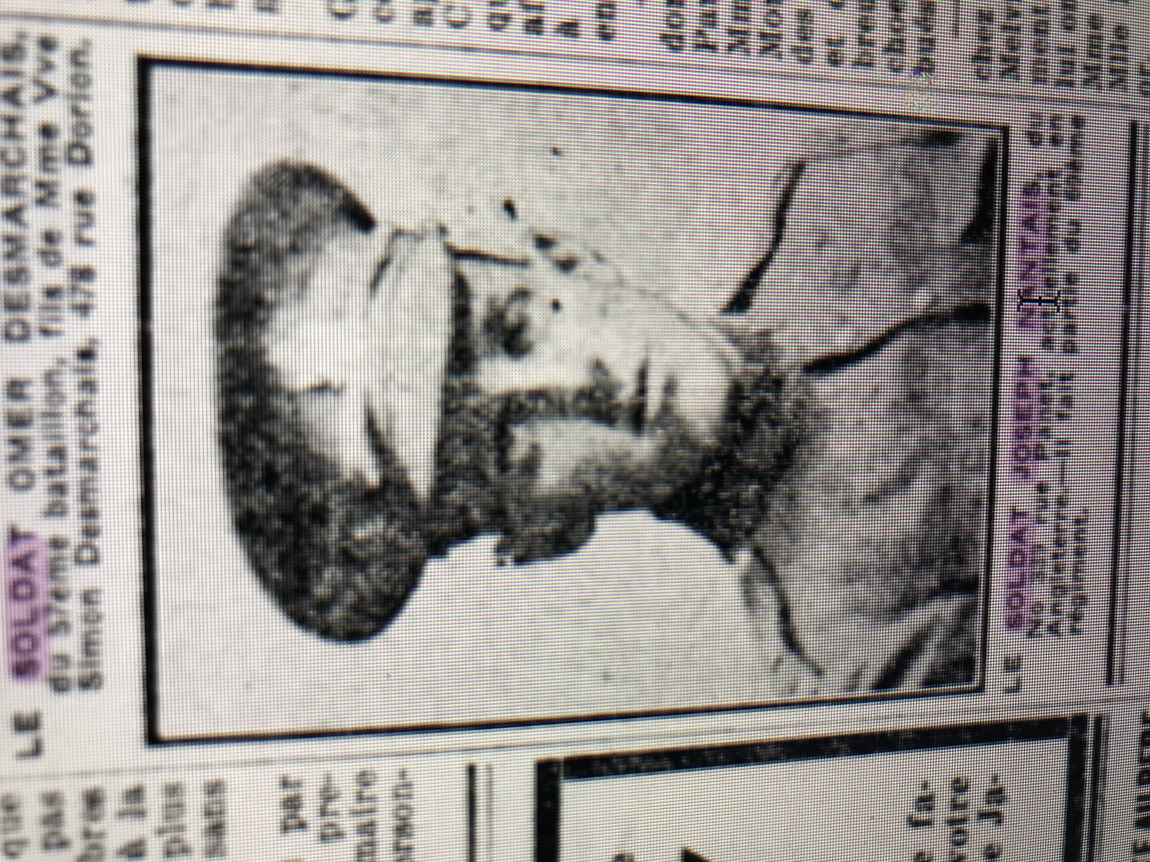 Newspaper clipping 1916