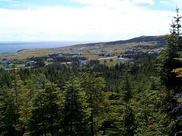 Lower Island Cove, Conception Bay, Newfoundland