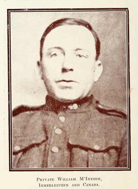 Photo of WILLIAM MCINTOSH