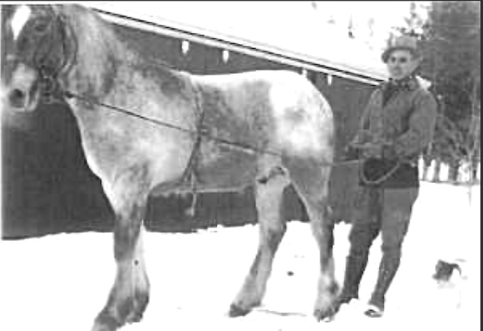 Photo of ELGIN AYLMER HISEY