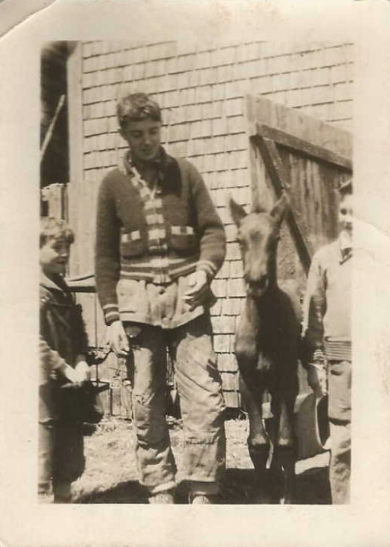 Photo of CURTIS FRANCIS HELM