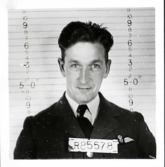 Photo of BLISS DUNFIELD KING