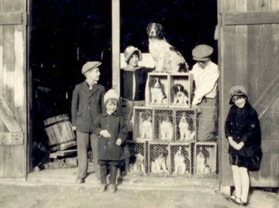 Photo of GORDON ALVRY PEARCE