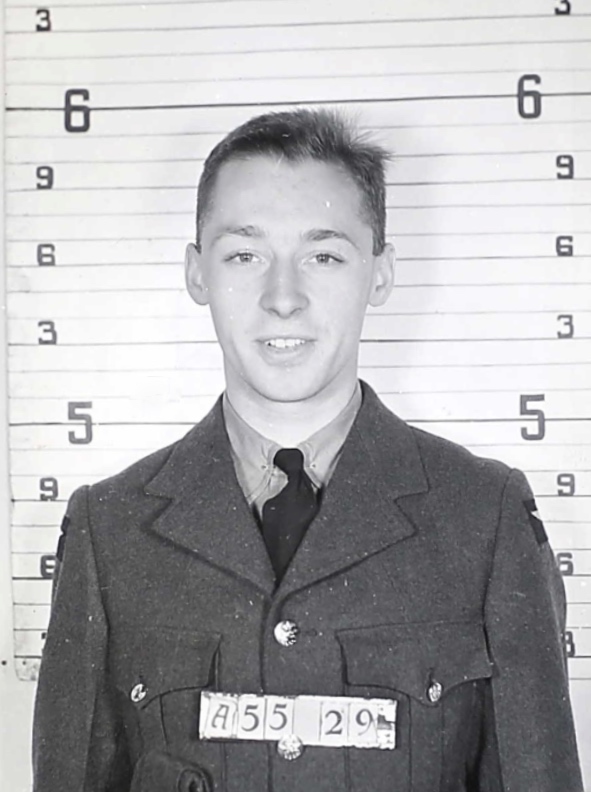 Photo of DAVID MAYSON PRICE