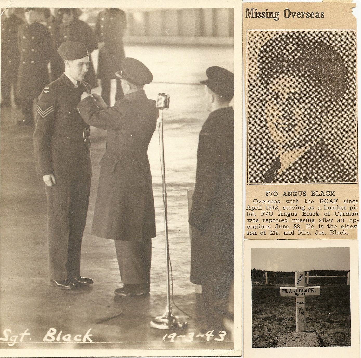 Photo of ANGUS JOHN BLACK