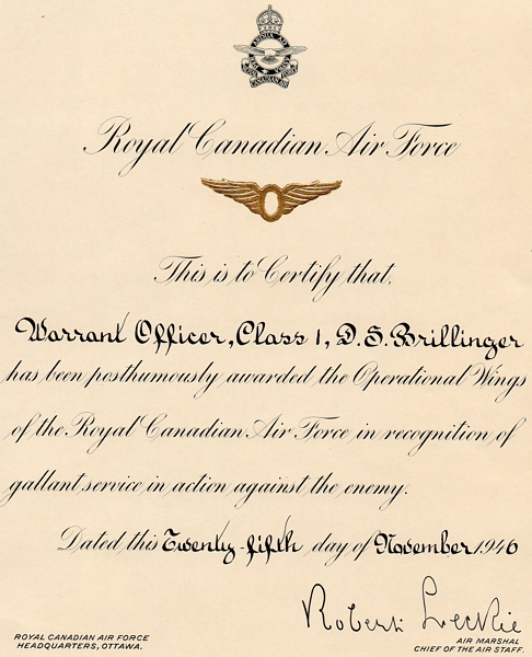 Operational Wings Award