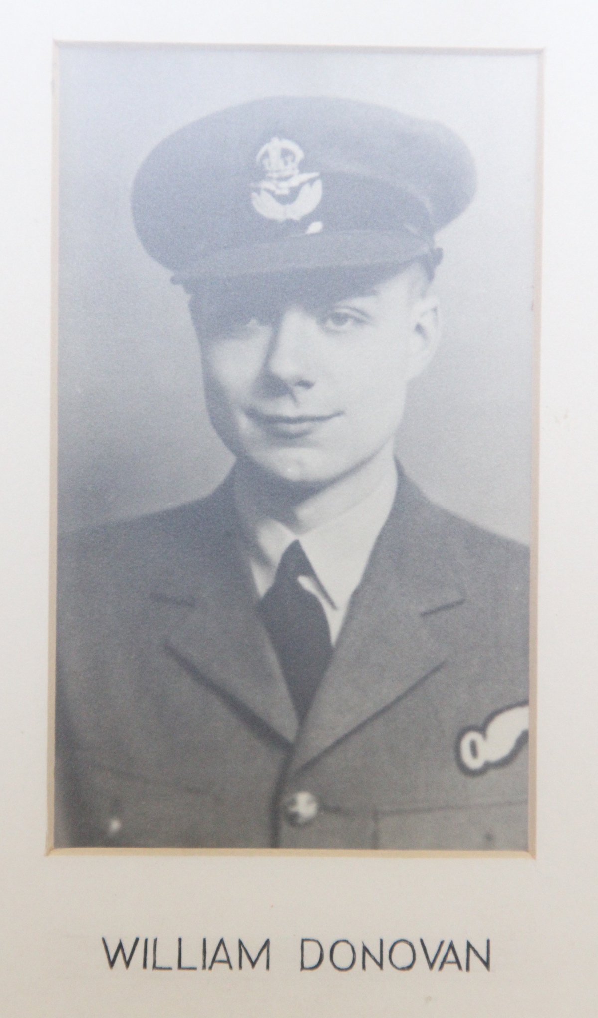 Photo of WILLIAM HARRY DONOVAN