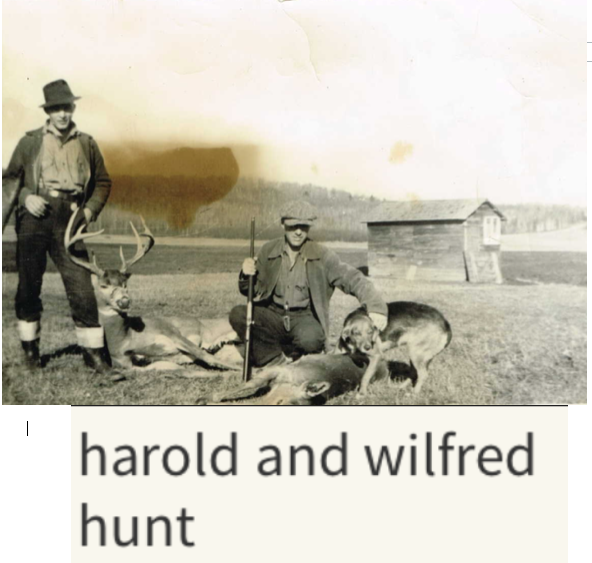 Photo of Wilfred Norman Green