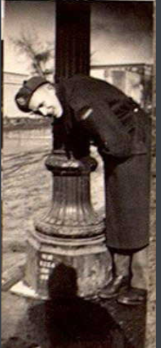 Photo of SYDNEY WOODWARD