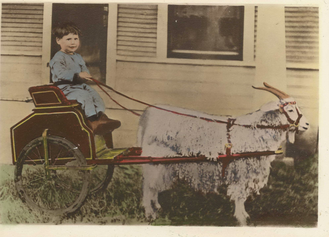 Photo of WILLIAM HARVEY PENN