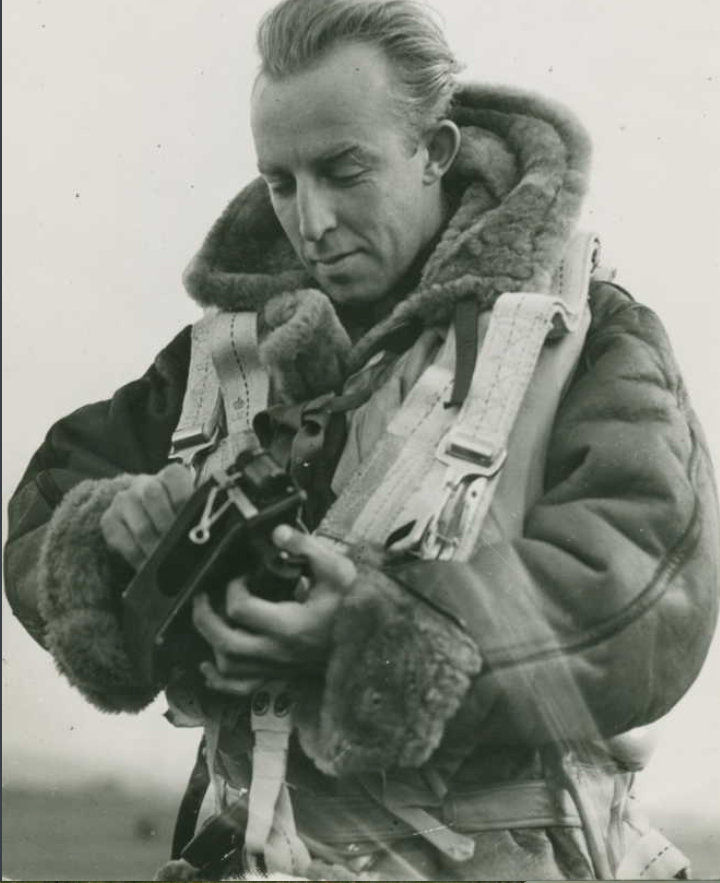 Photo of William Henry Baldwin