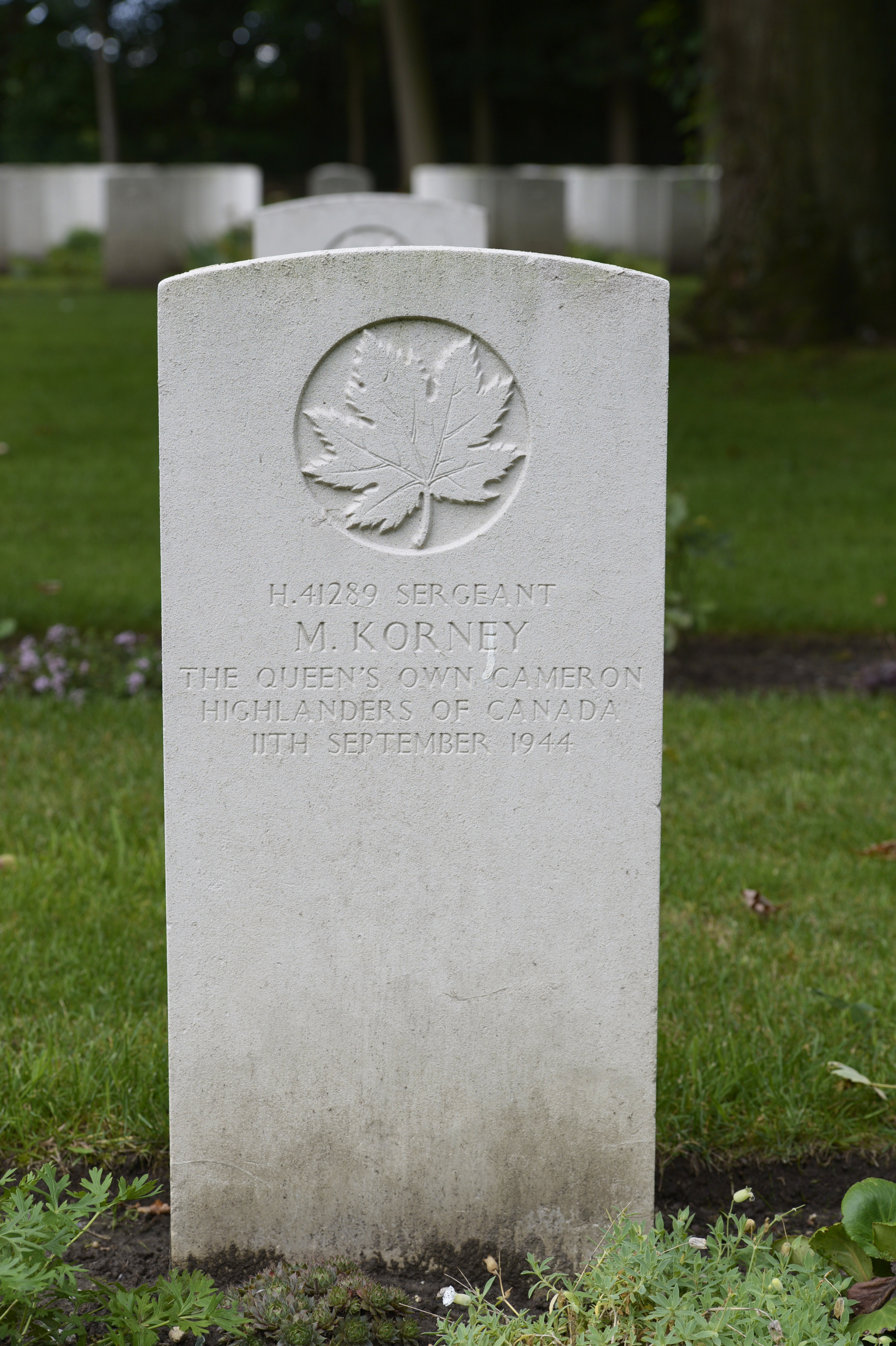 Photo of Michael Korney