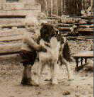 Photo of GORDON ALLAN SMITH