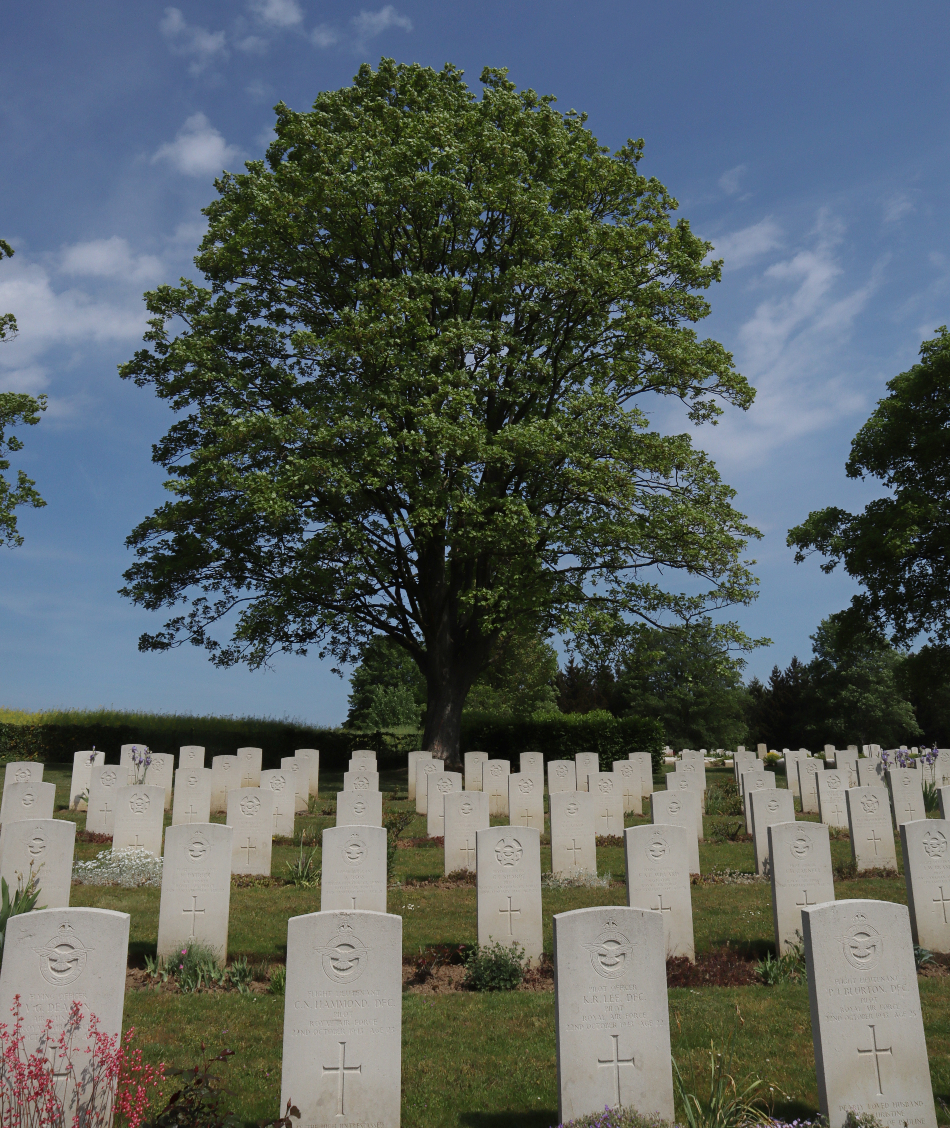 Photo of George Edward Sharpe