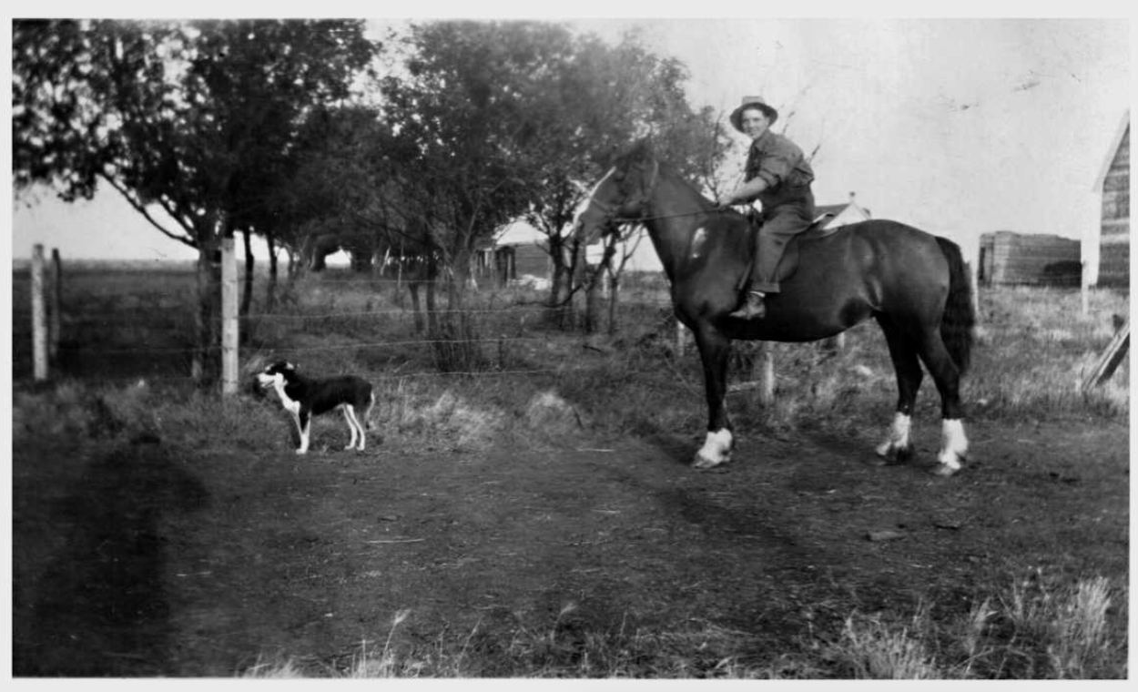 Photo of DOUGLAS GORDON WILSON