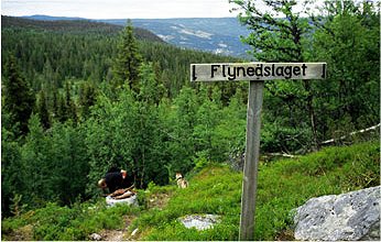 Scene of the plane crash