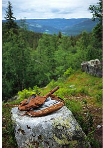 Scene of the plane crash