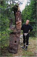 Scene of the plane crash