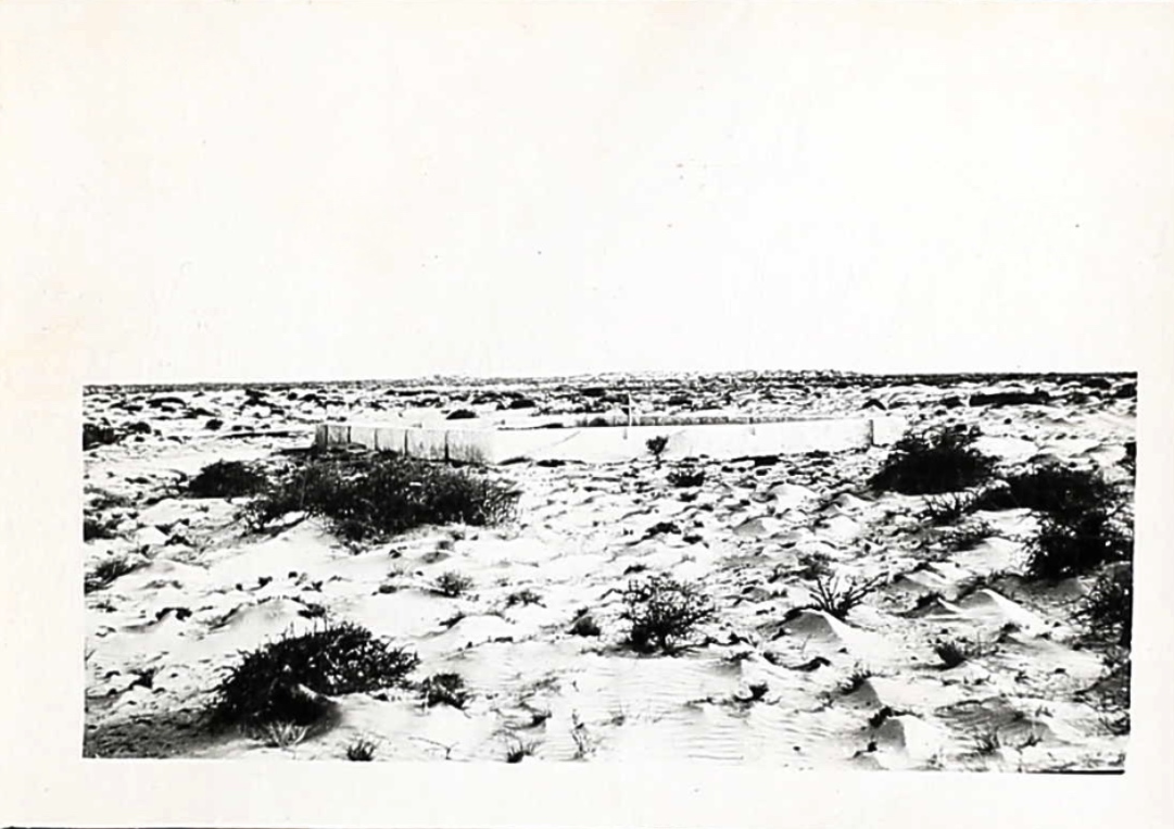 Original grave location