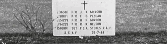 Photo of RICHARD KEARY NELSON