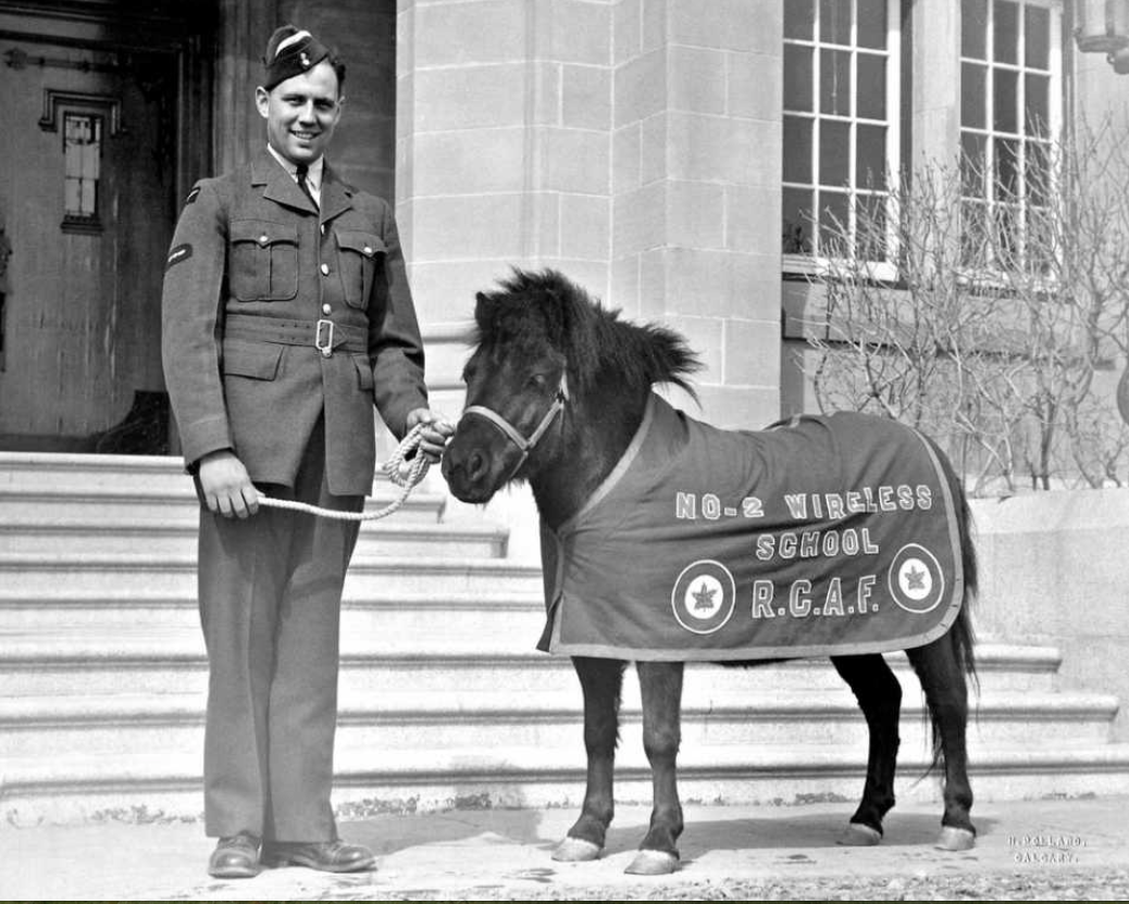 Photo of LLOYD EDWARD WILLIGAR