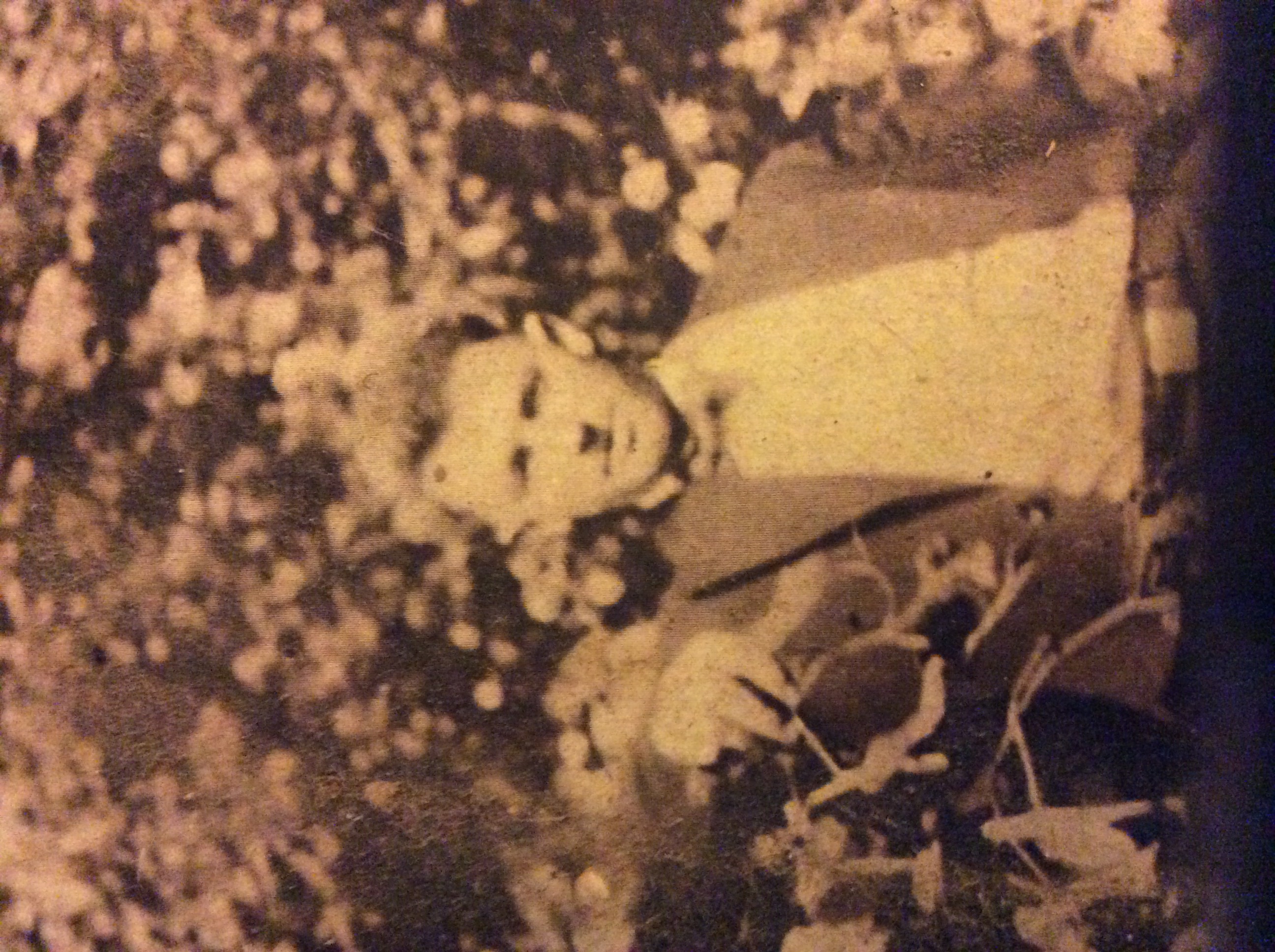 Photo of Cecil Clayton Fancy