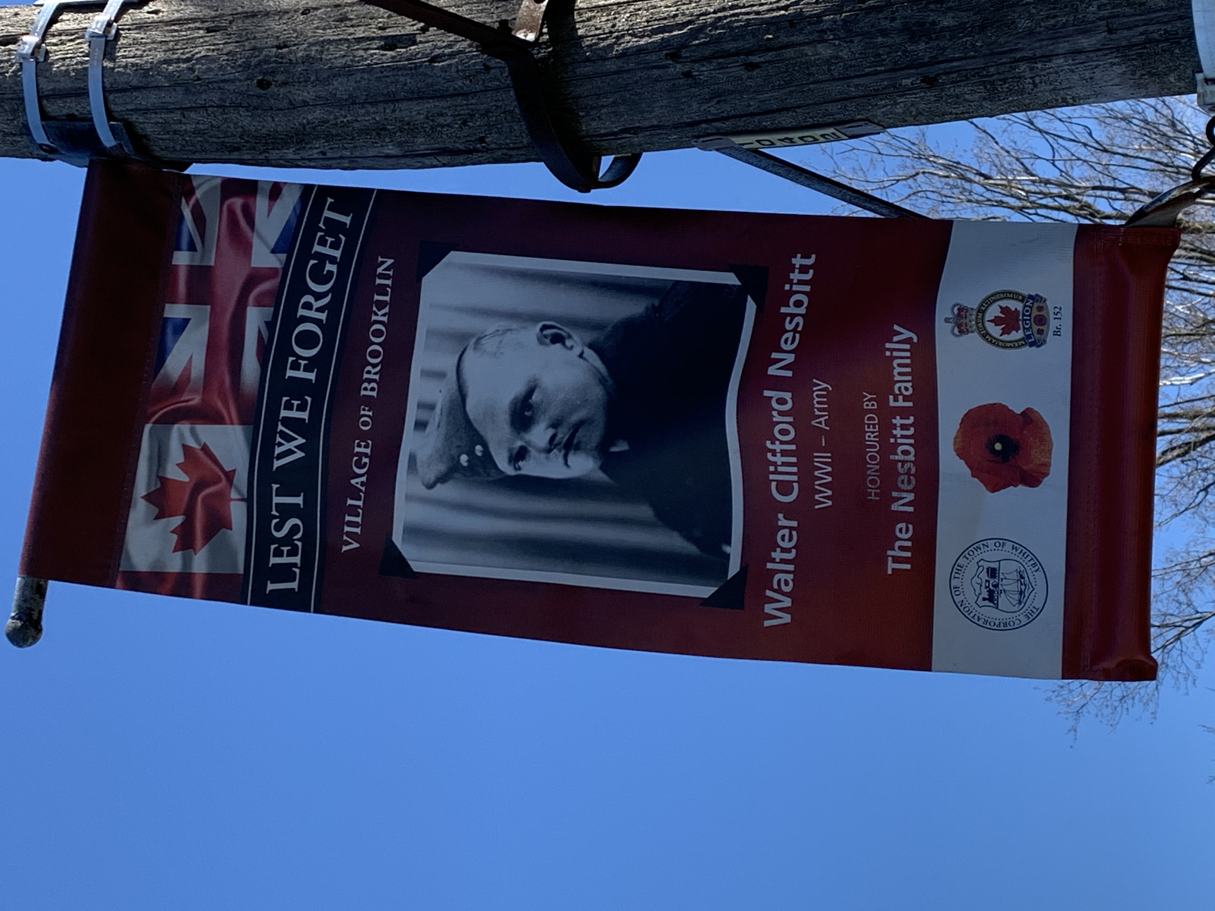 Photo of Walter Clifford Nesbitt