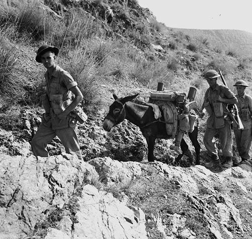 Photo of R.M. Stuart