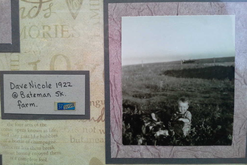 Photo of DAVID SCOTT NICHOL