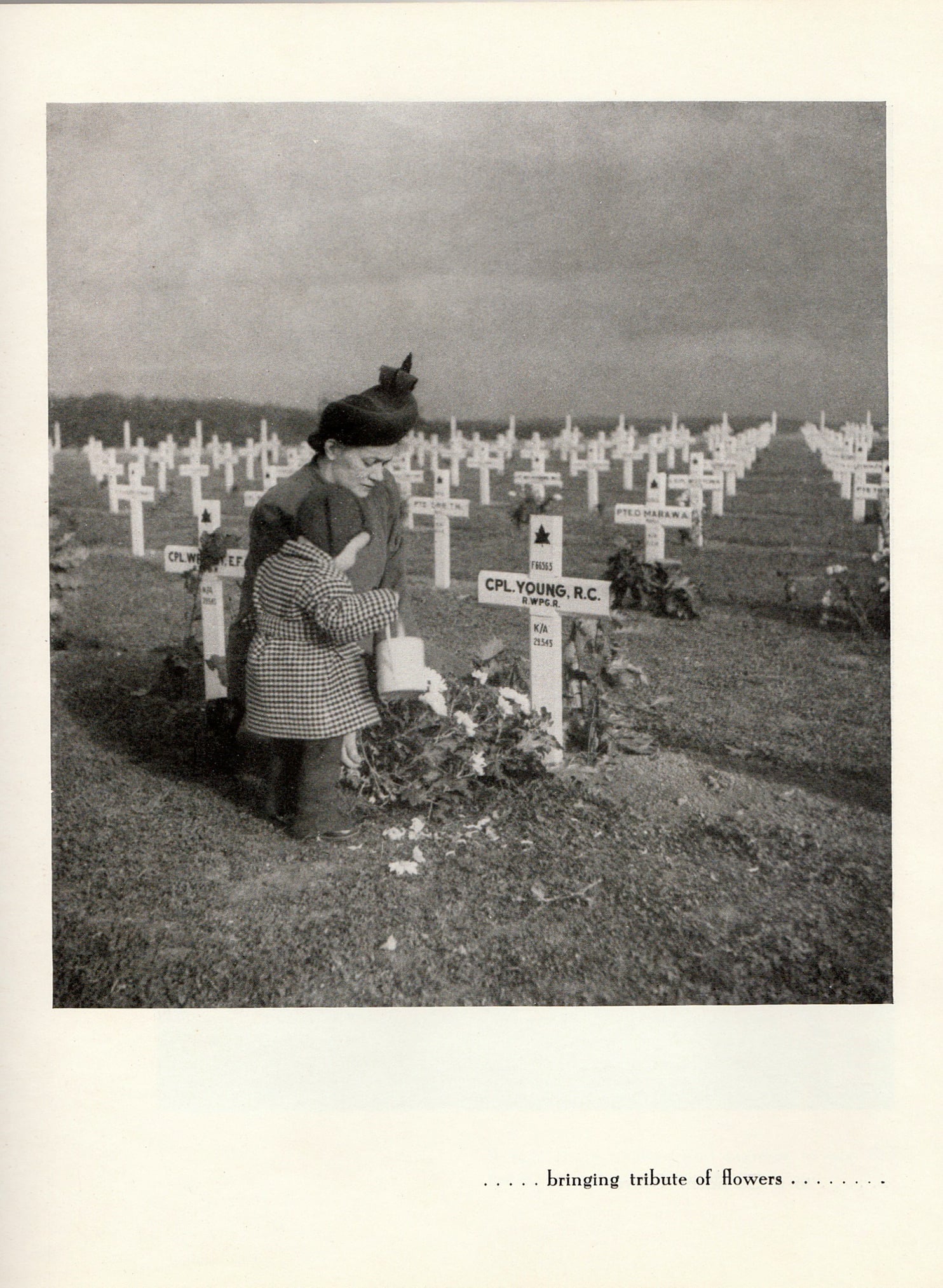 Photo of ROBERT COLSON YOUNG