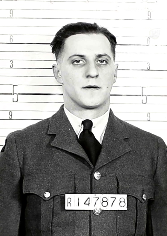 Photo of NICHOLAS MELNICK