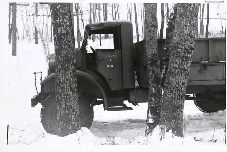 Photo of MICHAEL OSTOVICH